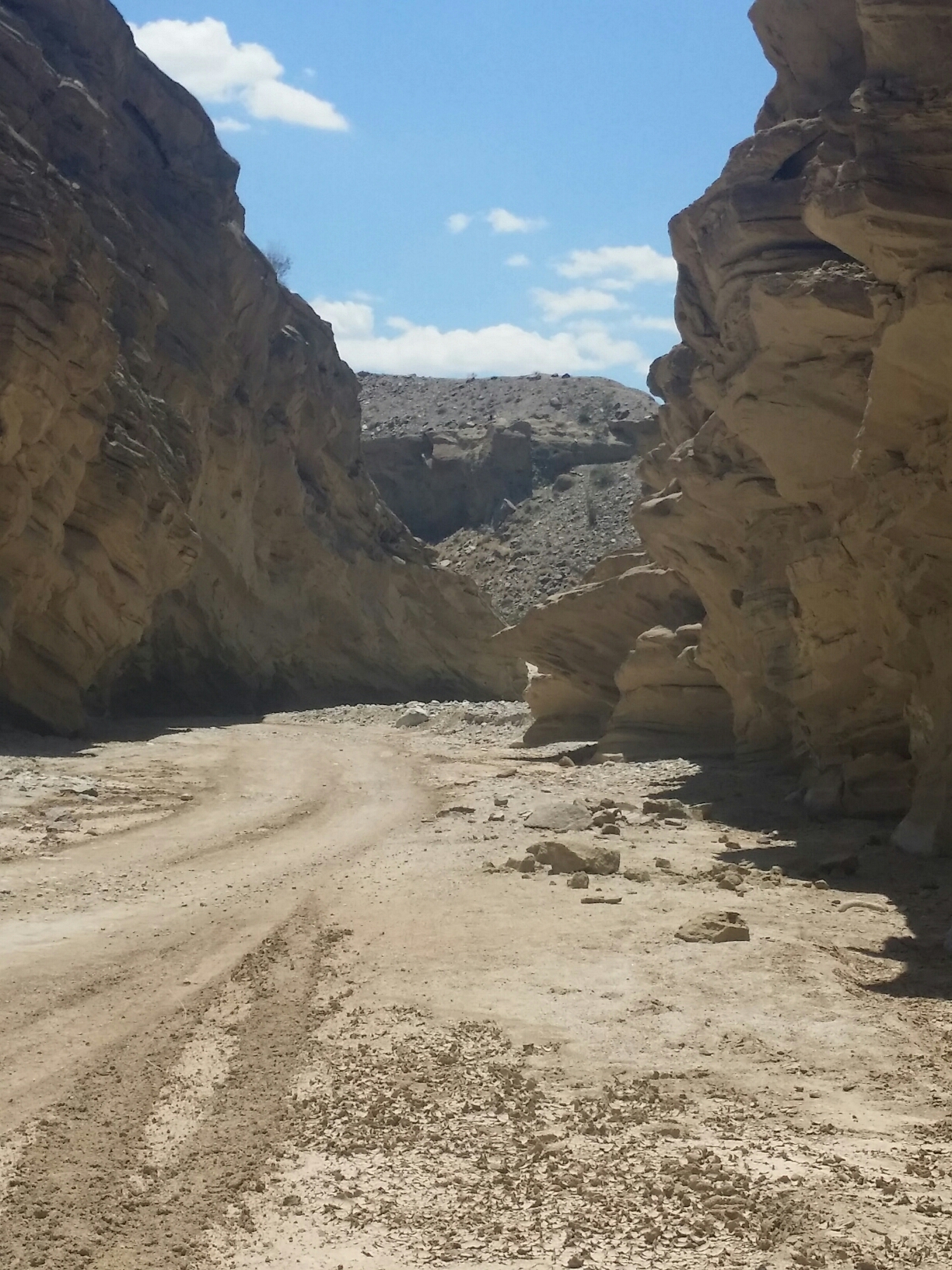 20150524_133403.jpg image