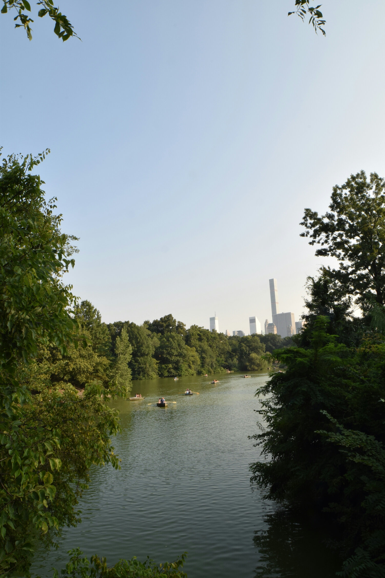 wp-1448080492602 image