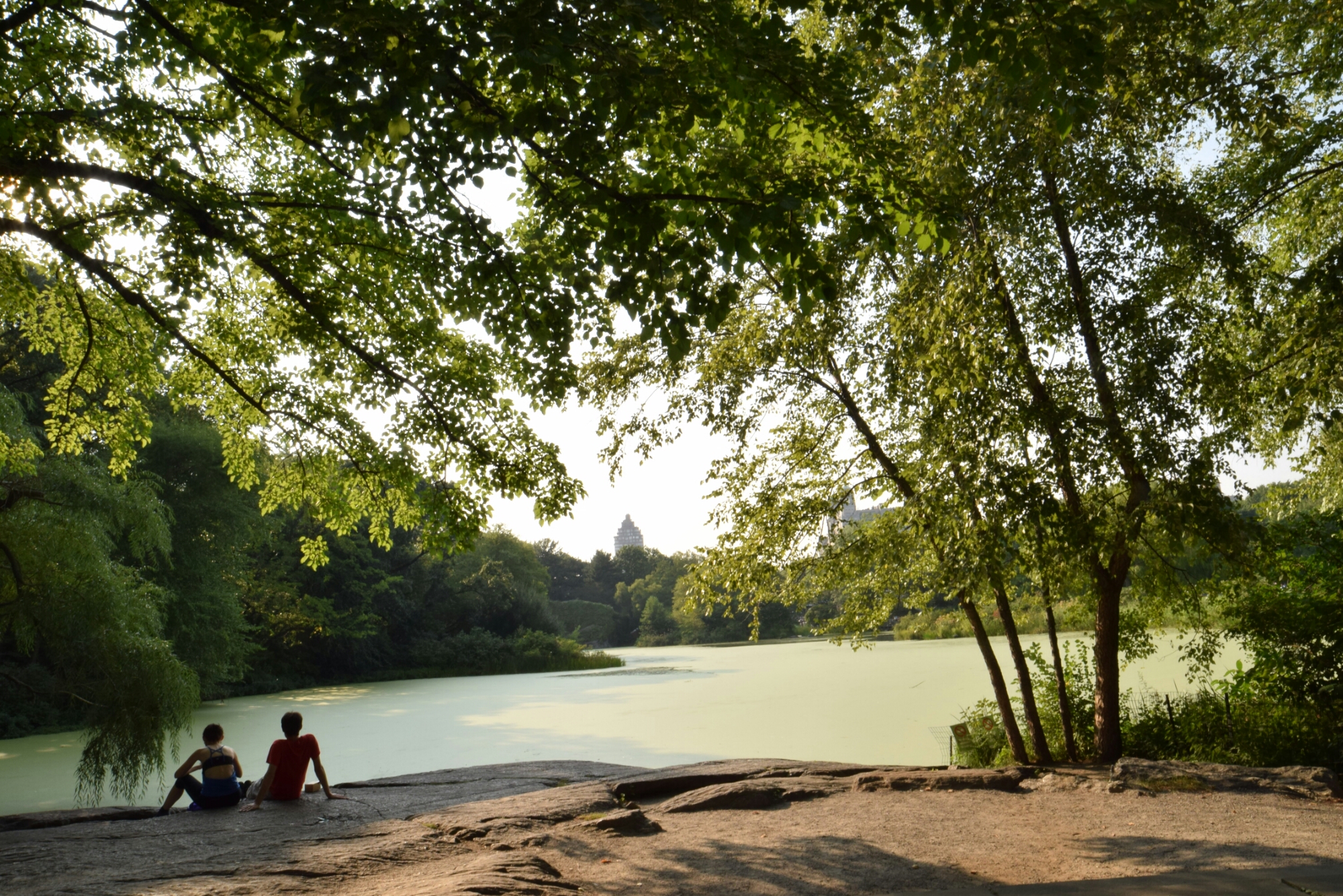 wp-1448080728474 image